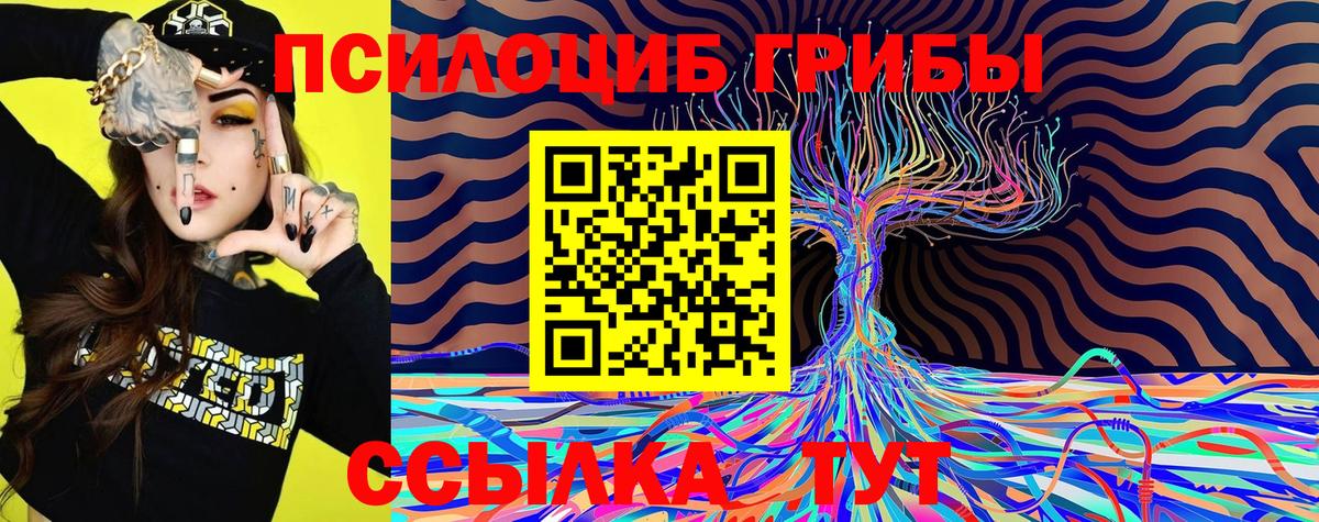 Псилоцибиновые грибы Magic Shrooms  Псилоцибиновые грибы GOLDEN TEACHER  Сургут  Вход с VPN 