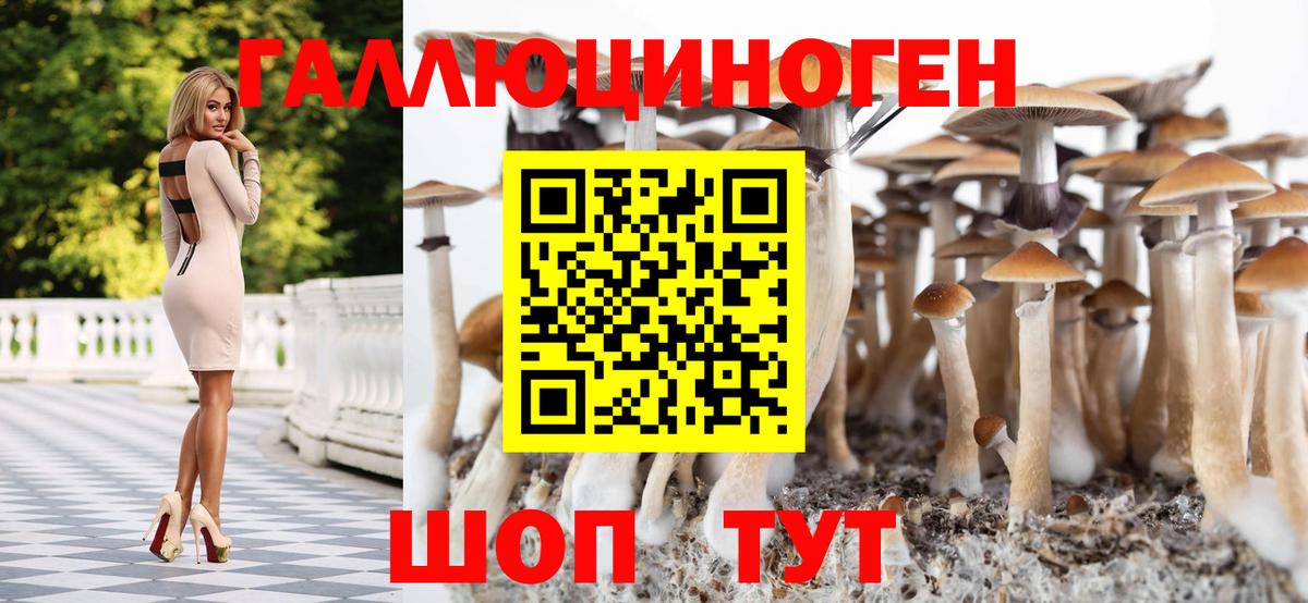 Галлюциногенные грибы MAGIC MUSHROOMS Сургут